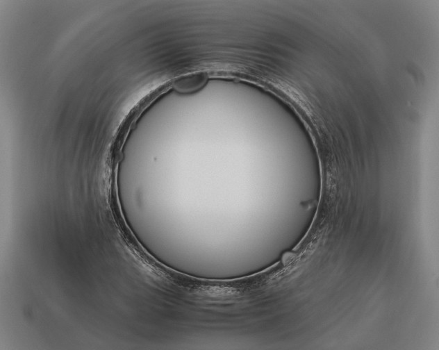 X0000115101119200911101539