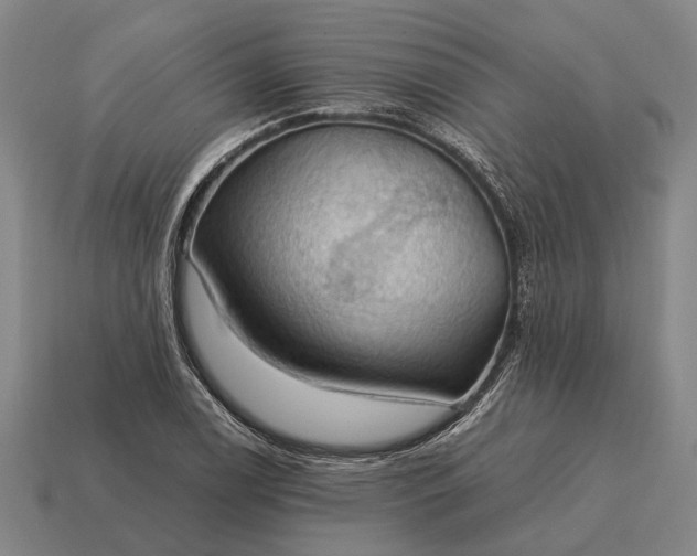 X0000115101122200911101539