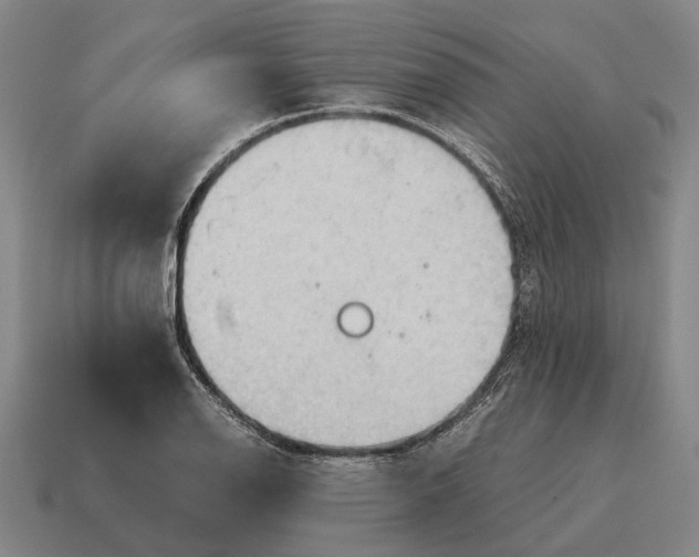 X0000115101126200911101539