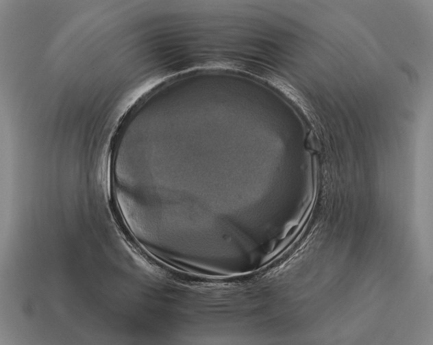 X0000115101127200911101539