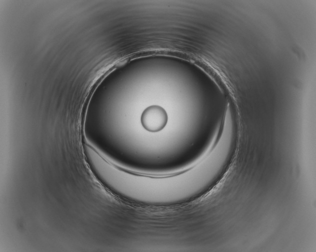 X0000115101129200911101539