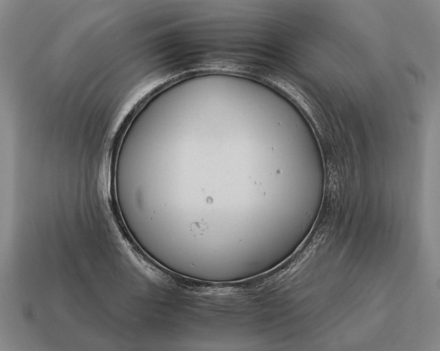 X0000115101131200911101539