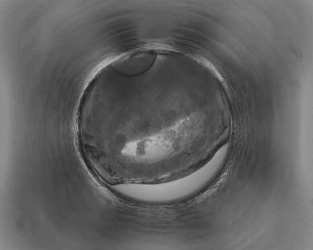 X0000115101133200911101539