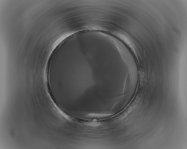 X0000115101141200911101539