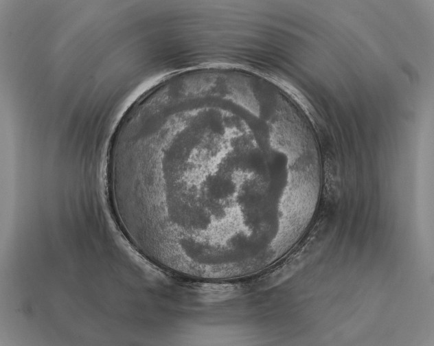 X0000115101142200911101539