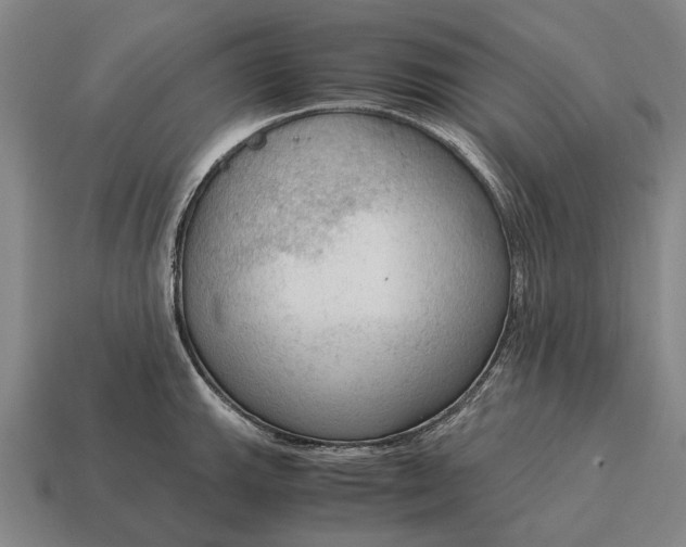 X0000115101143200911101539