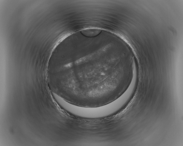 X0000115101145200911101539