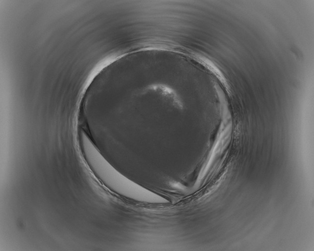 X0000115101146200911101539