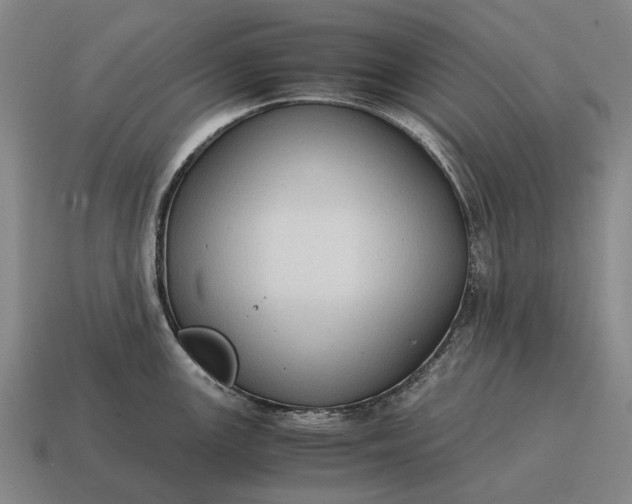 X0000115101147200911101539