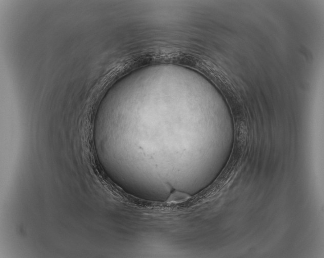 X0000115101153200911101539