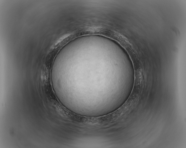 X0000115101158200911101539