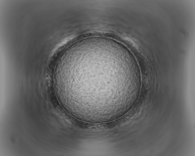 X0000115101159200911101539