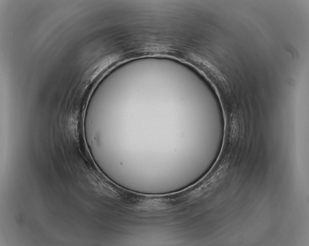 X0000115101162200911101539