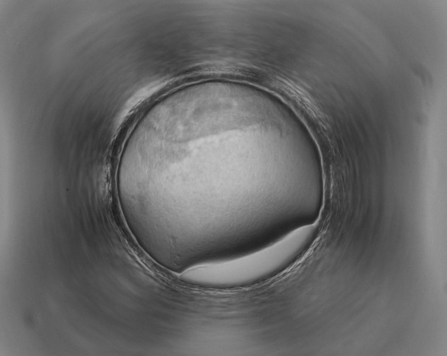X0000115101164200911101539