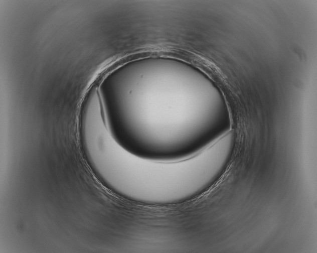 X0000115101168200911101538