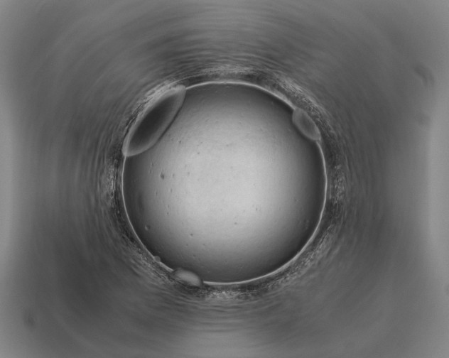 X0000115101169200911101538