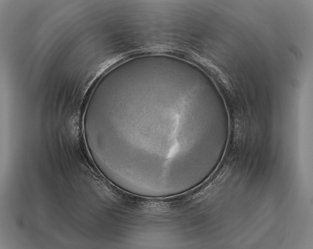 X0000115101170200911101538