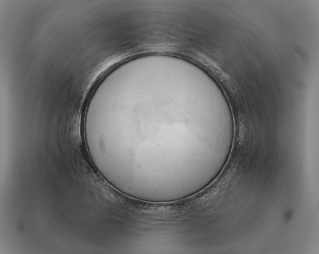 X0000115101174200911101538
