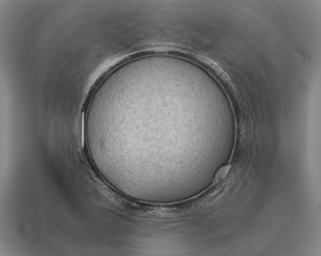 X0000115101175200911101538