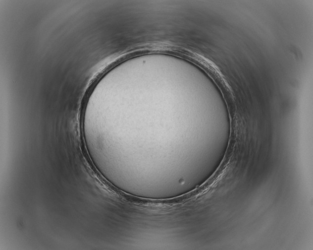 X0000115101176200911101538