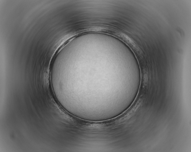 X0000115101178200911101538