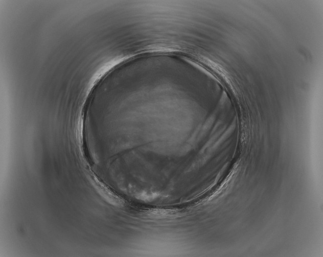 X0000115101179200911101538