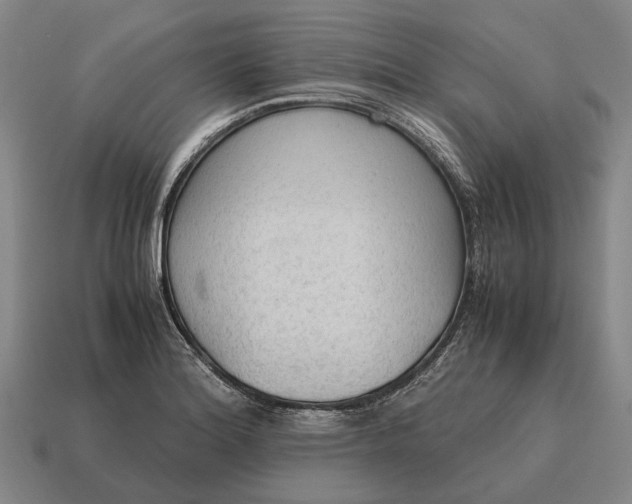 X0000115101180200911101538