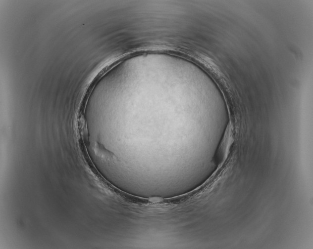X0000115101181200911101538