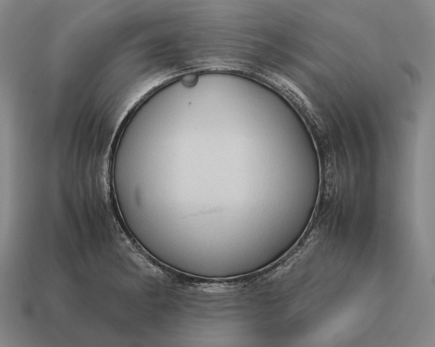 X0000115101182200911101538