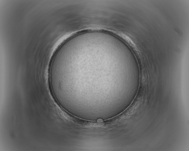 X0000115101183200911101538