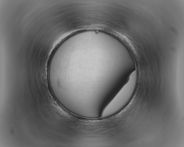 X0000115101184200911101538