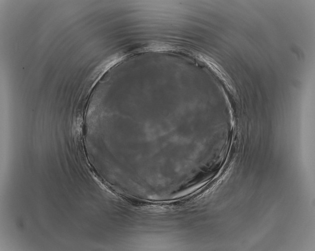 X0000115101185200911101538