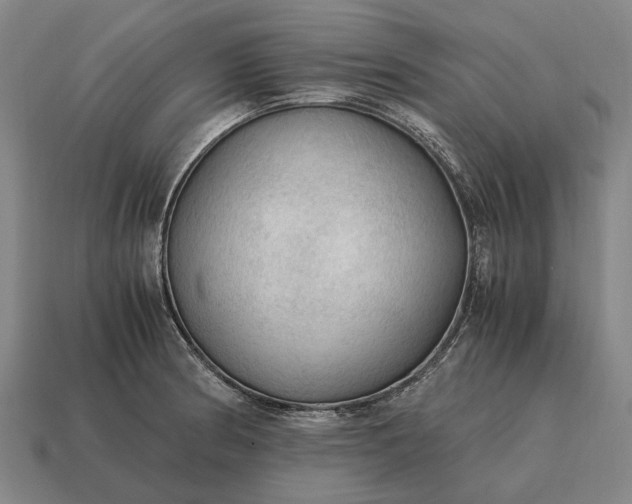 X0000115101186200911101538