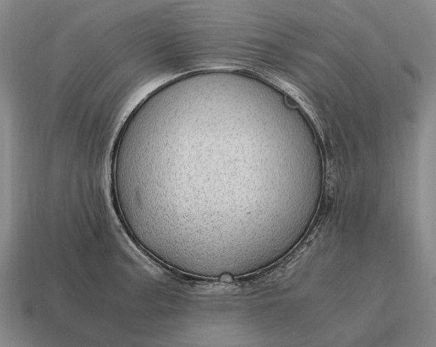 X0000115101187200911101538