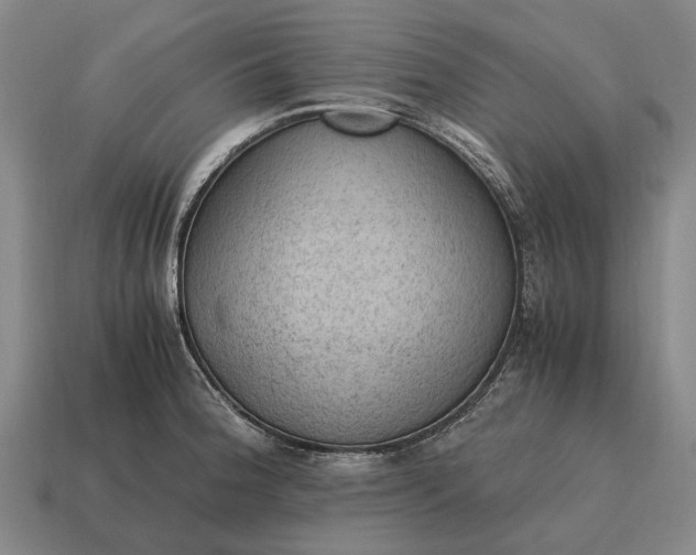 X0000115101188200911101538