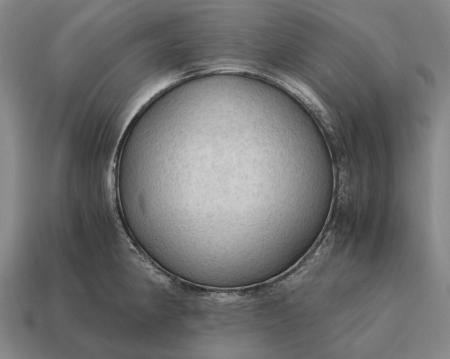 X0000115101190200911101538