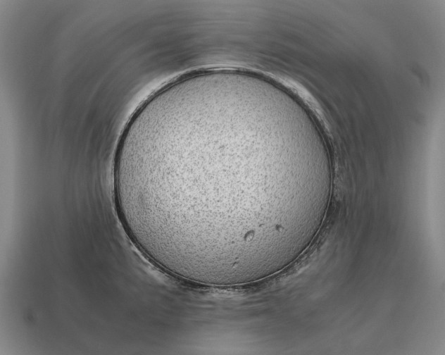 X0000115101191200911101538