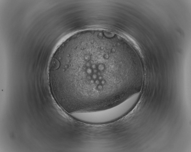 X0000115101192200911101538