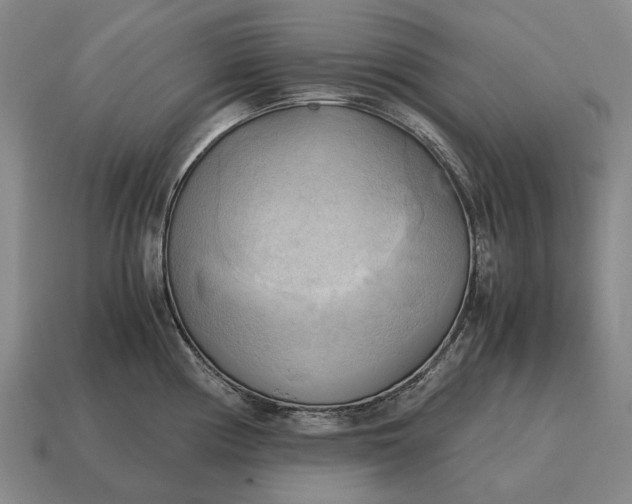 X0000115101194200911101538
