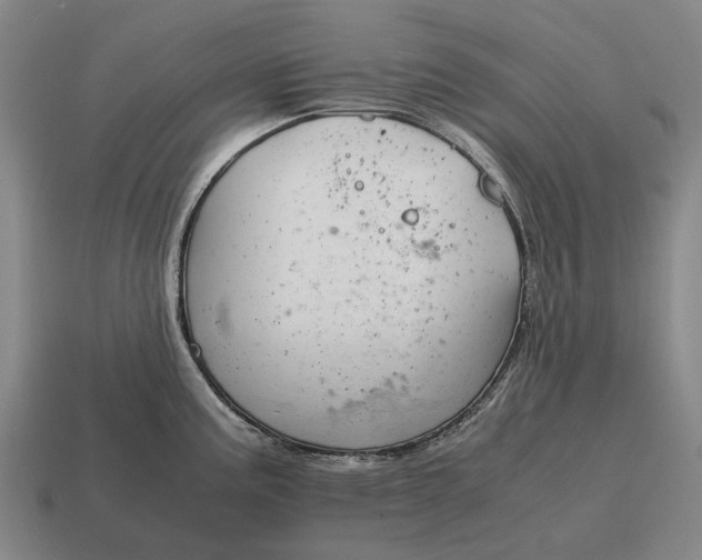 X0000115101195200911101538