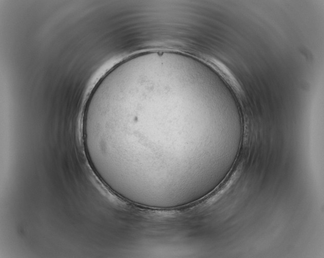 X0000115101196200911101538