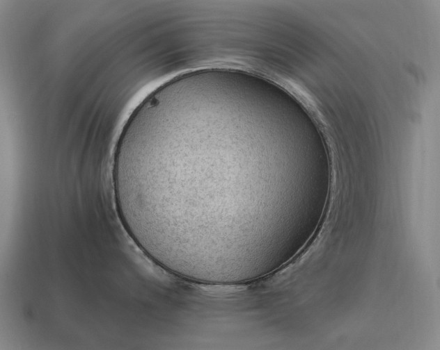 X0000115101200200911101538