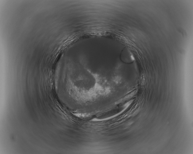 X0000115101202200911101537