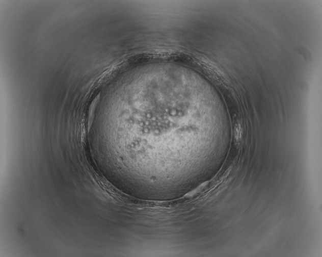 X0000115101204200911101538