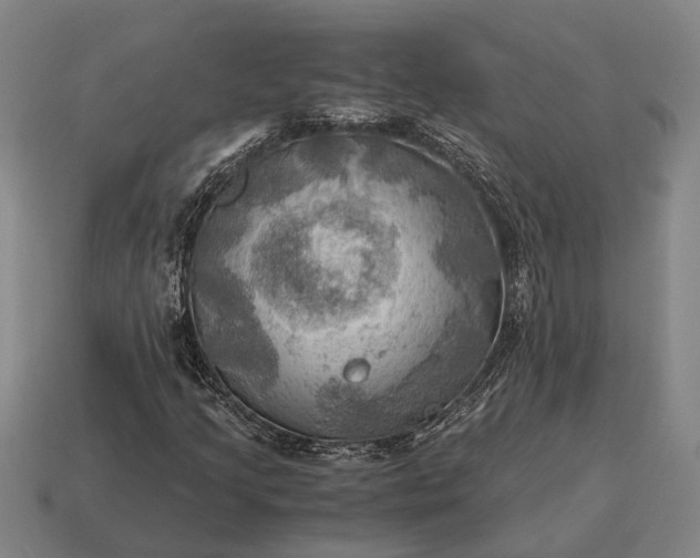 X0000115101205200911101538
