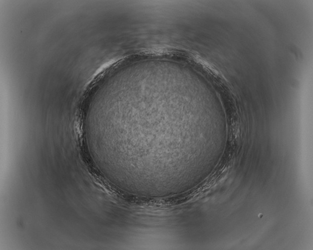 X0000115101206200911101538