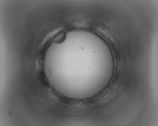 X0000115101207200911101538