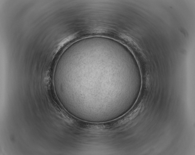 X0000115101210200911101538
