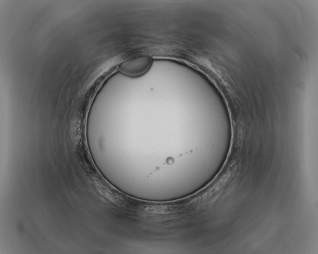 X0000115101211200911101538