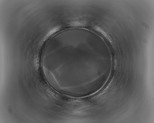 X0000115101213200911101538
